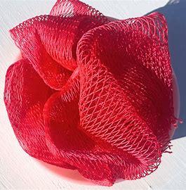 Authentic African Net Sponge